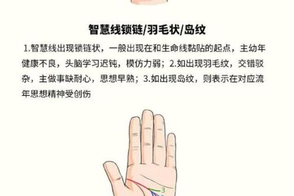 如何看掌纹线算命女性 智慧线长度适中进取心强