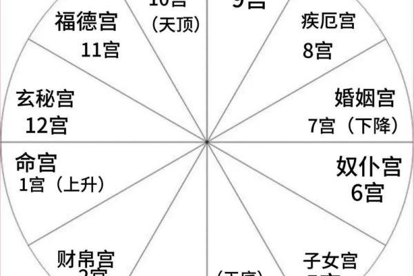 八字事业宫在什么位置