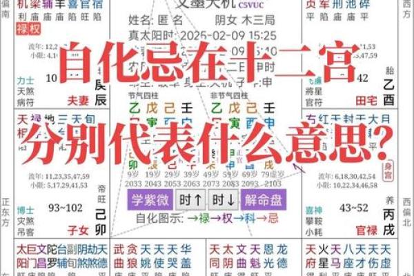 《紫微斗数》贪狼化禄右弼化科太阴化权天机化忌在官禄宫运势财运