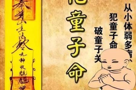 生辰八字查童子命，不会的找大师帮忙
