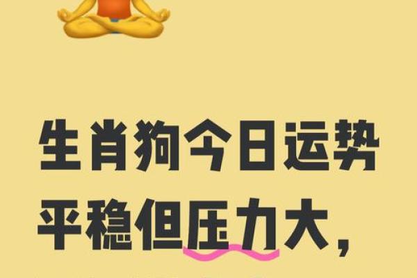 算命先生狗年出生的命运 算命先生狗年出生的命运