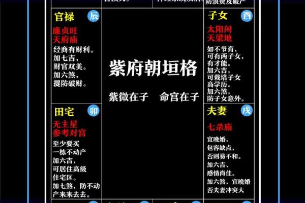 紫薇斗数命运宝典