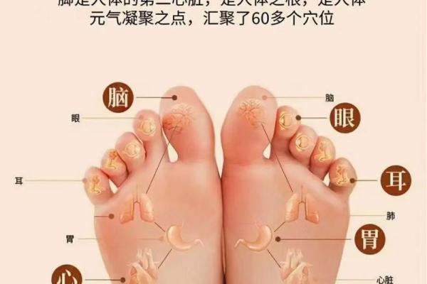 风水最有福气女人的脚型看命运