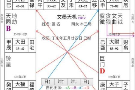 紫微斗数死亡 紫微斗数 死亡？