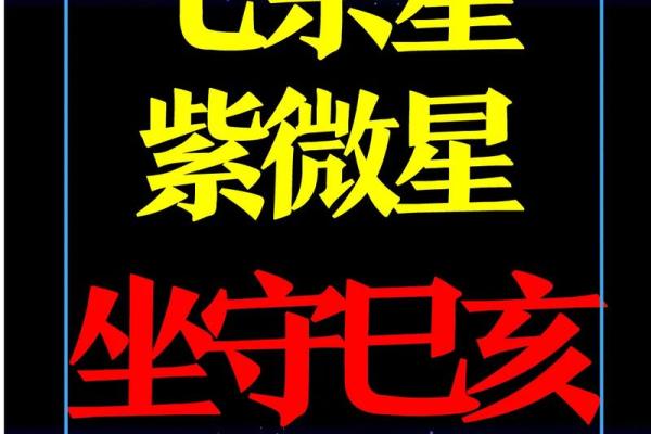 紫薇斗数看自己财