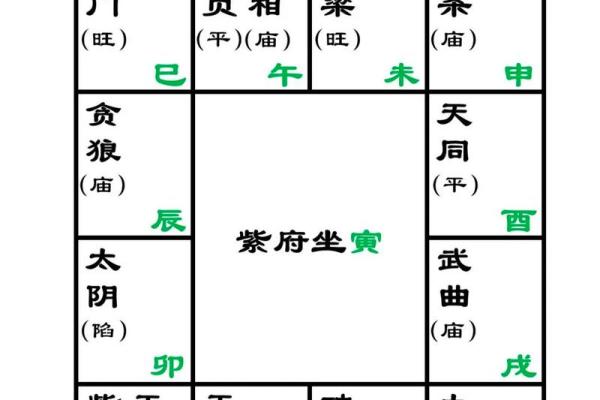 紫微斗数置闰 紫微斗数术语？