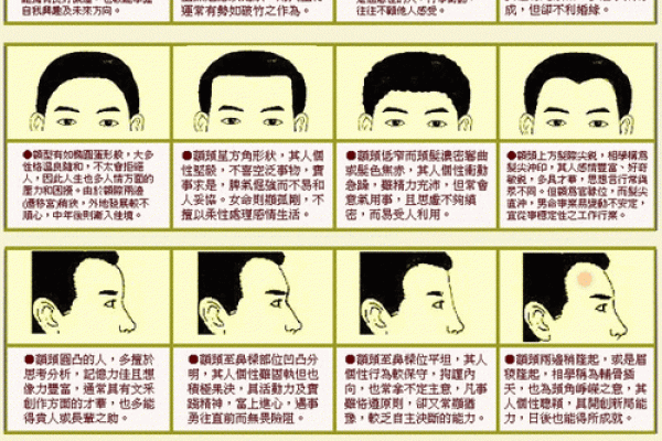 紫薇斗数看面相