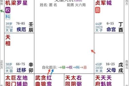 如何通过紫薇斗数看学业