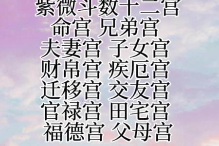 紫薇斗数看面相