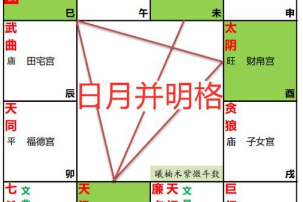 紫薇斗数富翁格局