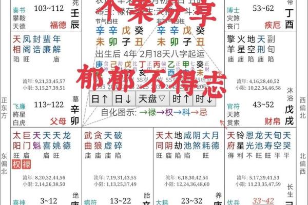 紫薇斗数测试APP