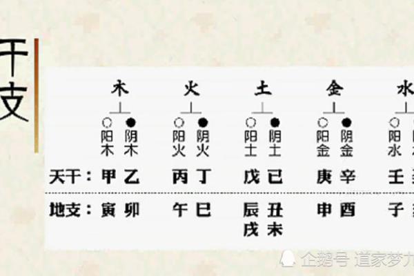 生辰八字五行查询免费测试 生辰八字五行查询 算命