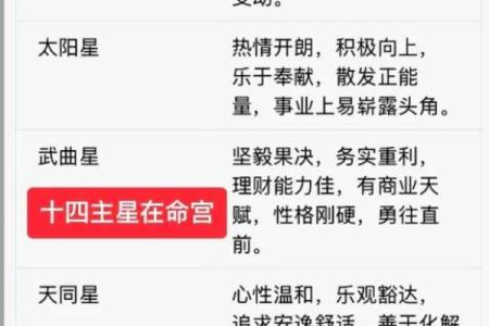 紫微斗数之：看命程序