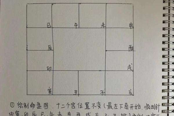 庄式紫薇斗数排盘