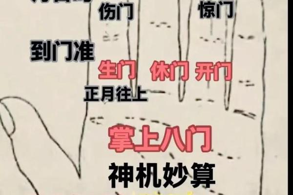 一掌经算命实例