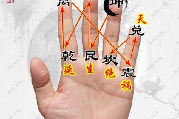 一掌经算命实例