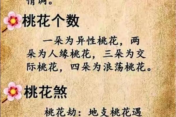 神煞里有桃花是什么意思,桃花神煞在四柱(详解 与桃花有关的八字命运) 神煞里有桃花是什么意思,桃花神煞在四柱(详解 与桃花有关的八字命运)
