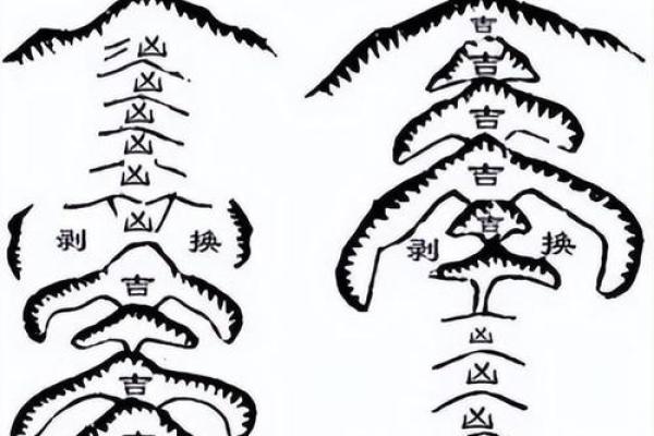 龙脉风水_各有什么特征