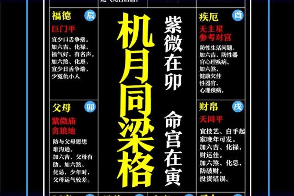 改良紫薇斗数全书 改良紫薇斗数全书