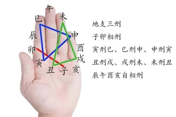 八字带印有什么作用 八字带印有何功用 八字带印有什么作用 八字带印有何功用