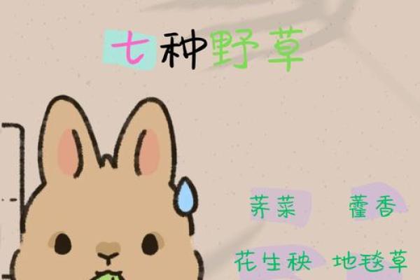 算命兔子在吃草,兔吃草是什么命 算命兔子在吃草,兔吃草是什么命