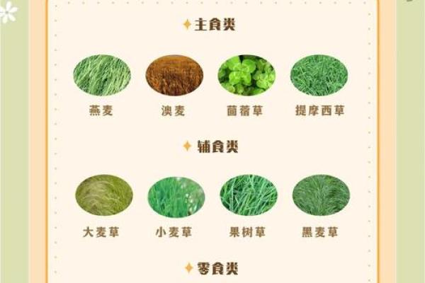 算命兔子在吃草,兔吃草是什么命 算命兔子在吃草,兔吃草是什么命