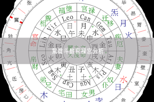 紫薇斗数的斗君
