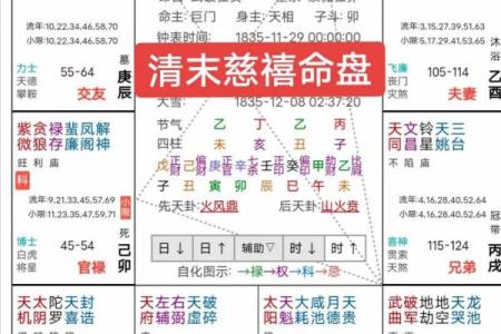 紫微斗数案例18健康：大运迁移宫多忌，哪些宫位会冲命宫？