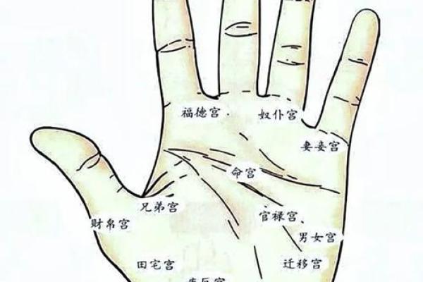 凯帝阿手相算命图解大全02 凯帝阿手相算命图解大全02