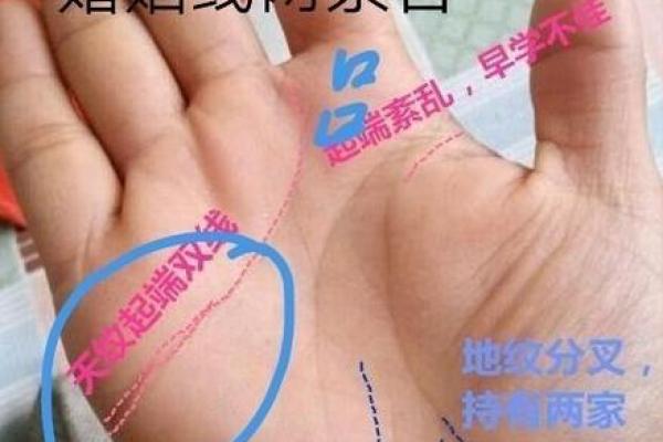 算命看手相算命图解 女性子女线 算命看手相算命图解 女性子女线