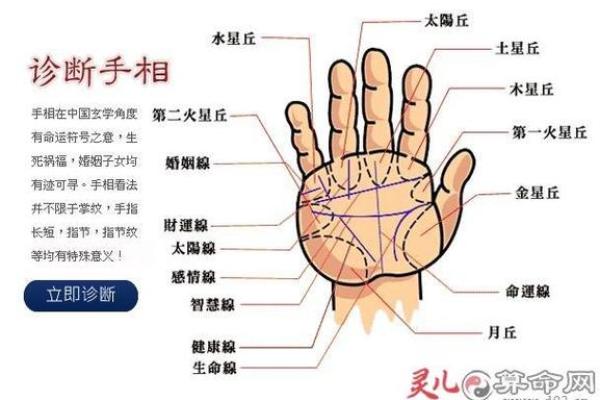 算命看手相算命图解 女性子女线 算命看手相算命图解 女性子女线