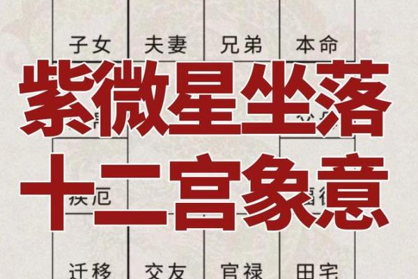 紫薇斗数紫微星位置咋确定