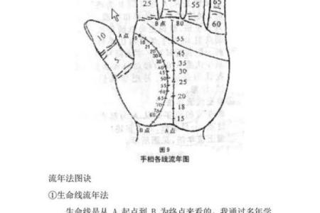 凯帝阿手相算命图解大全02
