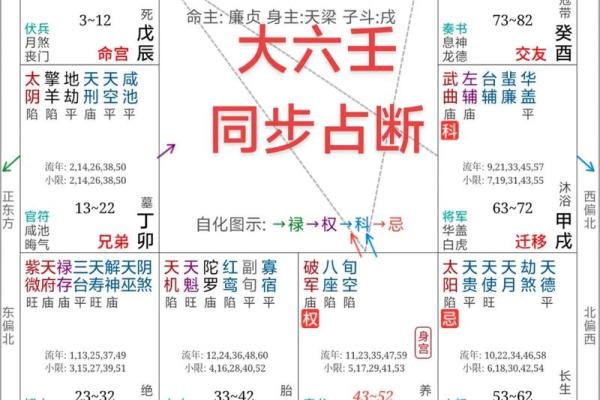 紫薇斗数解密pdf