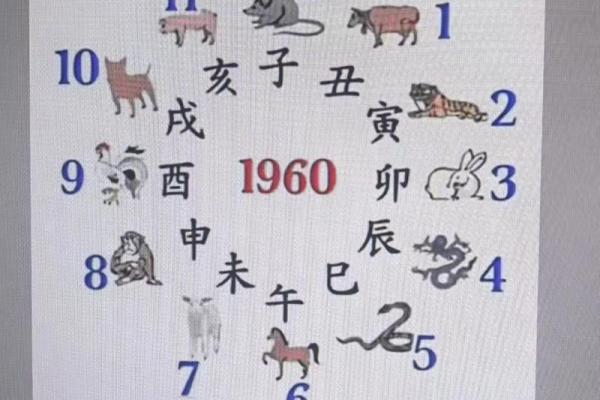 看斗算命，准不准看了便知！