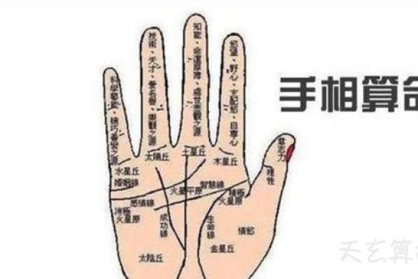 手相算命，对着内容看你的手相