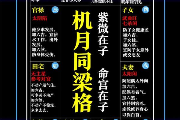 紫薇斗数命盘案例 紫薇斗数命盘案例