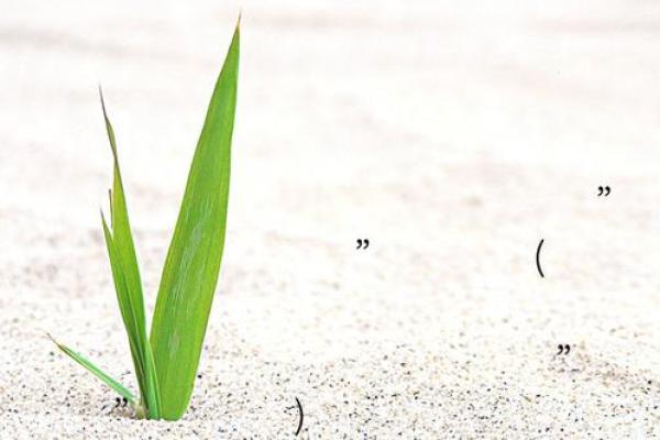 打分网免费打分测试 打分网免费测试打分