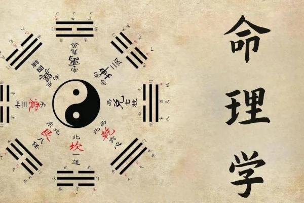 八字命理：你缺的不是基础，而是一篇文章