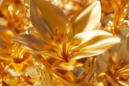 风水什么花能带来好运气吸引财富