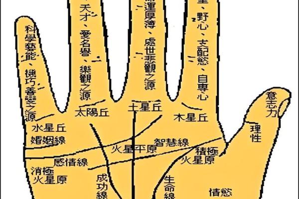 手指算命，手指长短判断一个人的个性