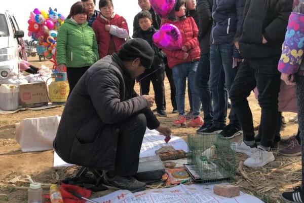 灵鸟叨签算命违法吗