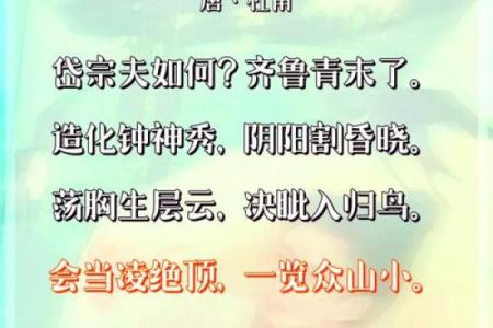 东有小山紫薇斗数7