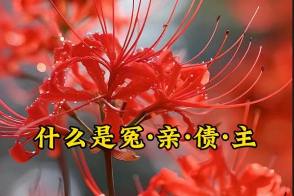 紫薇斗数冤亲债主 紫薇斗数冤亲债主