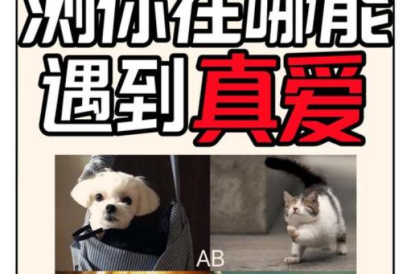 短信爱情测试姓名配对 爱情测试名字？