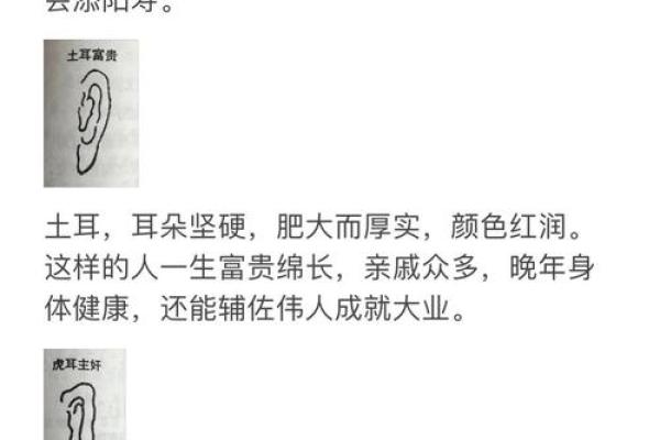 从面相看耳朵,耳朵面相算命图解 从面相看耳朵,耳朵面相算命图解