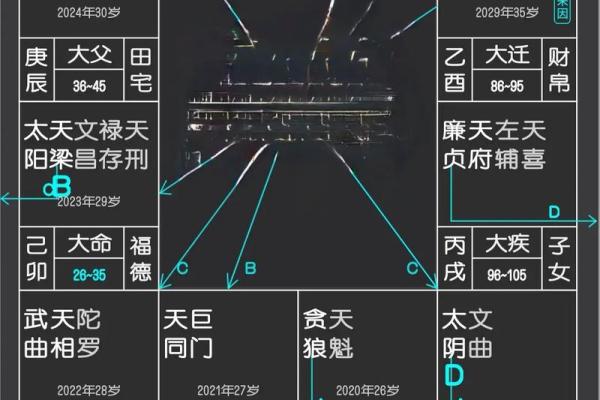 紫薇斗数看谁有豪宅