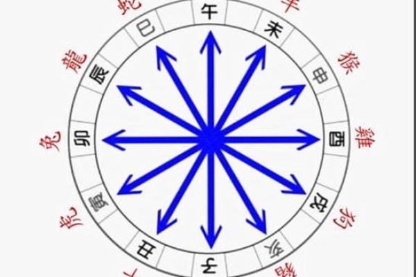 八字财库在月柱好