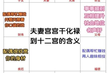 紫微斗数之夫妻宫与诸星，贪狼星在夫妻宫是什么意思？