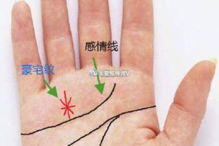 女性怎么看手相算命 手掌绵软厚实命中带有富贵